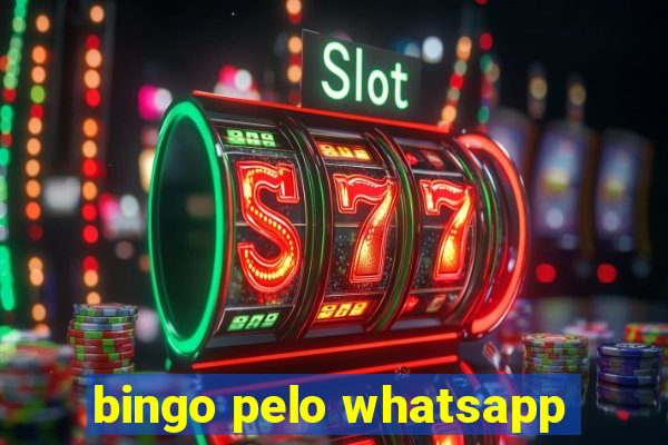 bingo pelo whatsapp