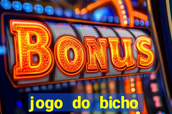 jogo do bicho crash bingo
