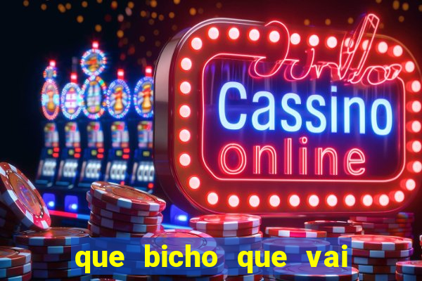 que bicho que vai dar hoje