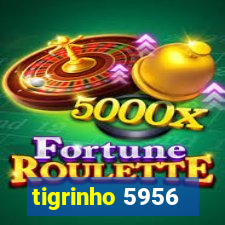 tigrinho 5956