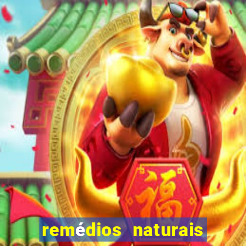 remédios naturais para diabetes