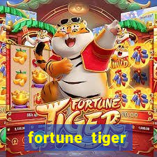 fortune tiger source code