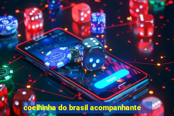 coelhinha do brasil acompanhante