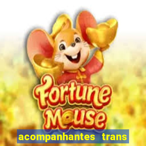 acompanhantes trans baixada fluminense