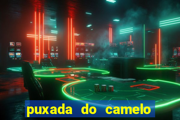 puxada do camelo no jogo do bicho