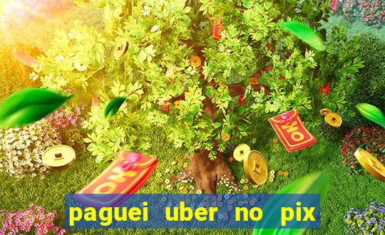 paguei uber no pix e nao achou motorista