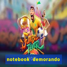 notebook demorando para ligar tela preta