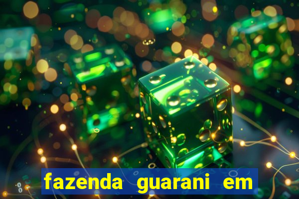 fazenda guarani em nova andradina ms