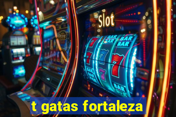 t gatas fortaleza