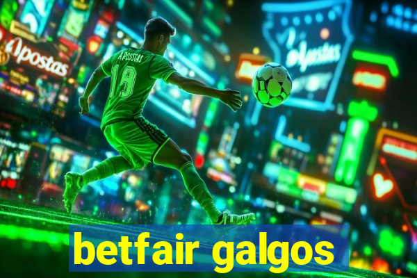 betfair galgos