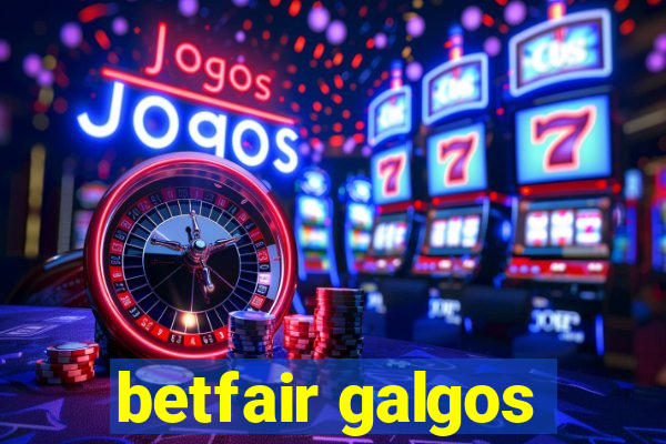 betfair galgos