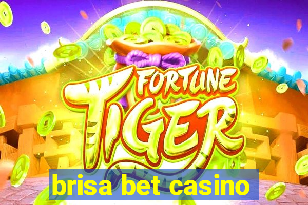 brisa bet casino
